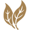 ico-duo-leaf
